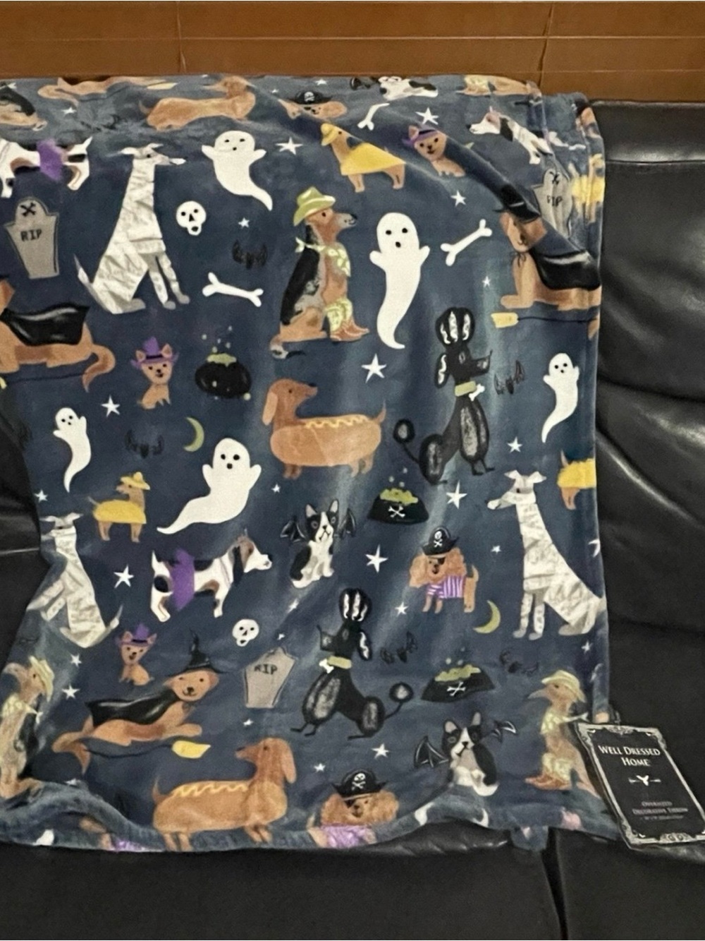 Halloween Well Dressed Home Custumed Dogs Throw - Halloween Dogs Throw
